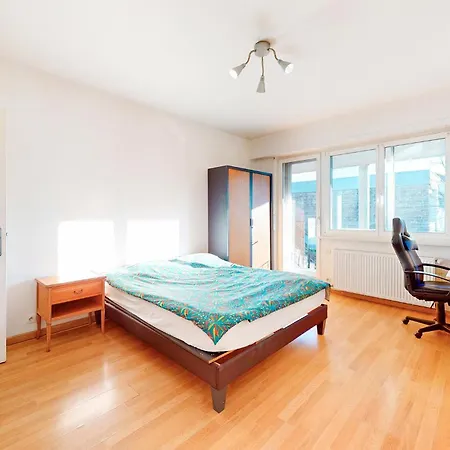 Gorgeous In With Wifi Apartment Schiltigheim